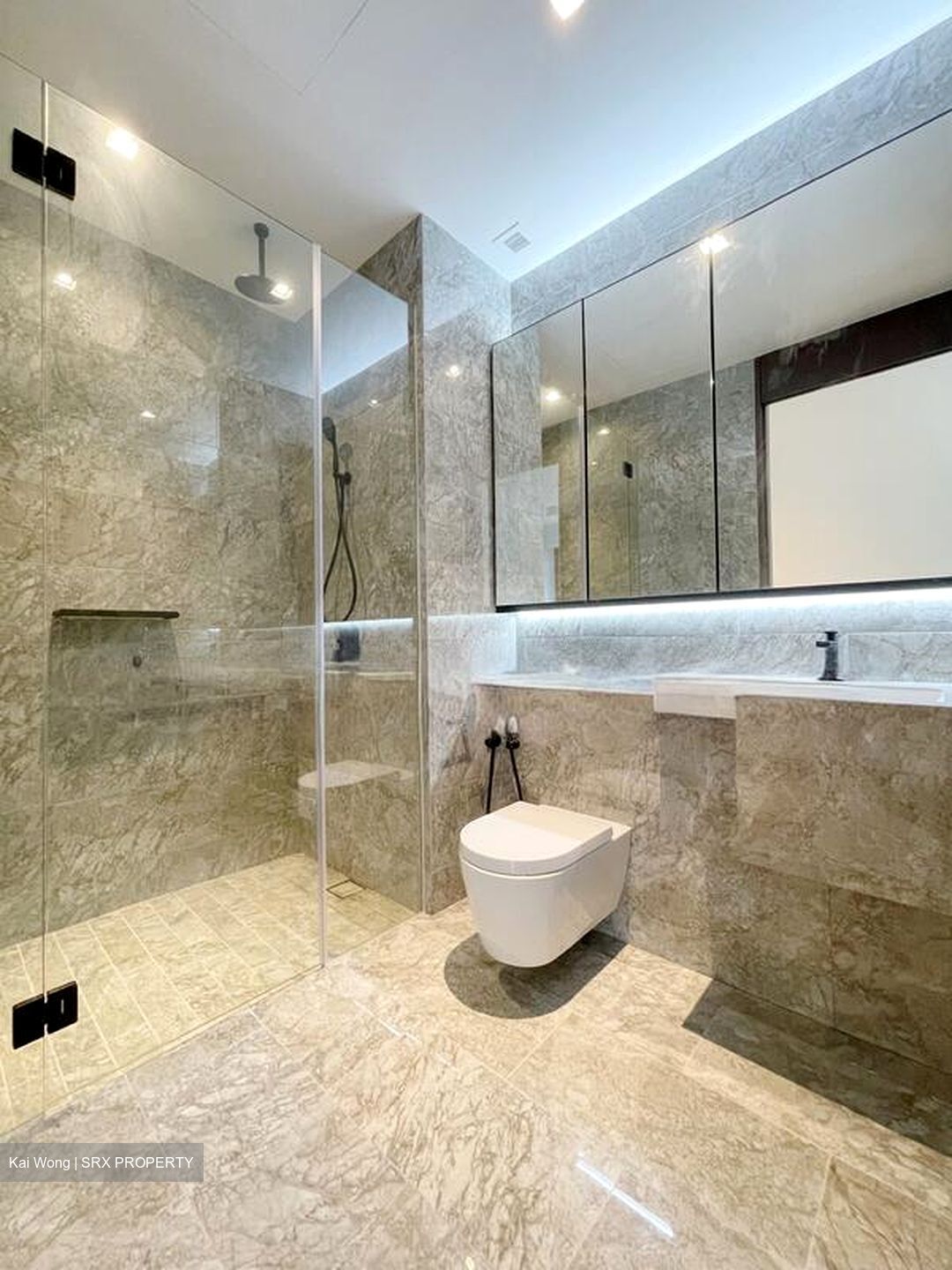 Jervois Privé (D10), Apartment #577085731